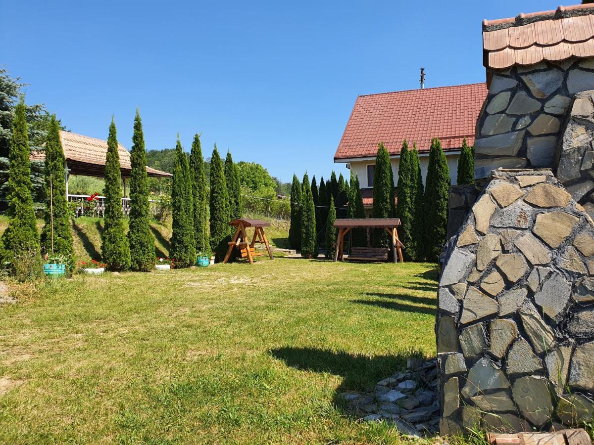 Casa Carpati Daire Zărneşti Dış mekan fotoğraf