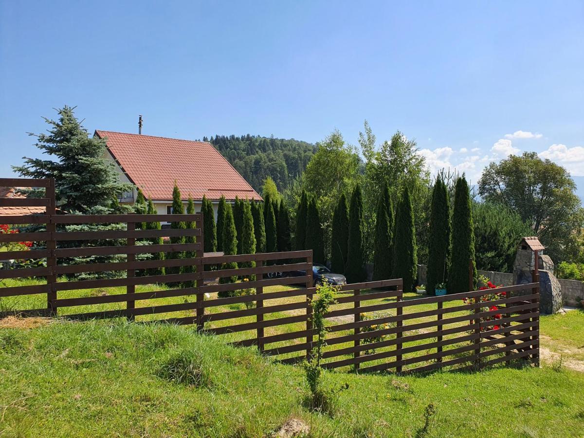 Casa Carpati Daire Zărneşti Dış mekan fotoğraf