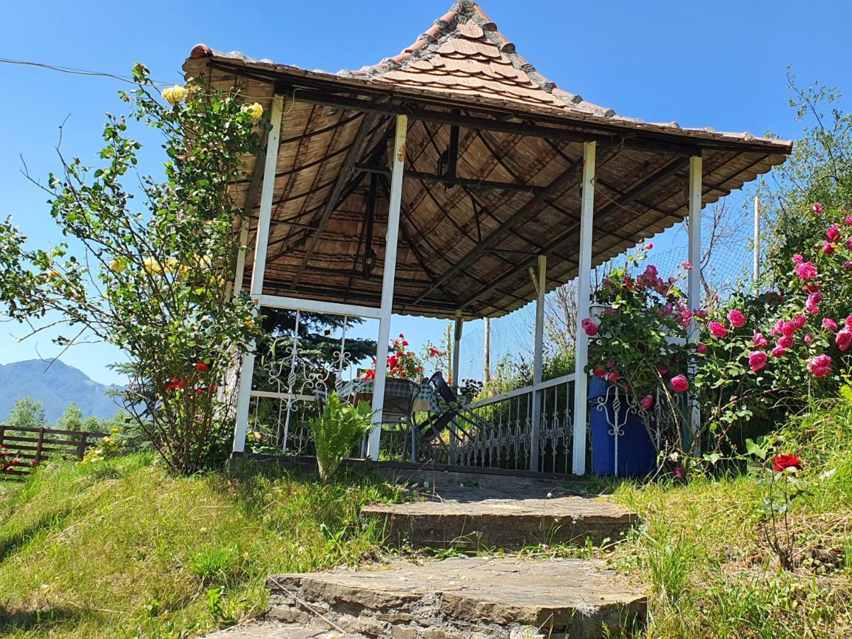 Casa Carpati Daire Zărneşti Dış mekan fotoğraf