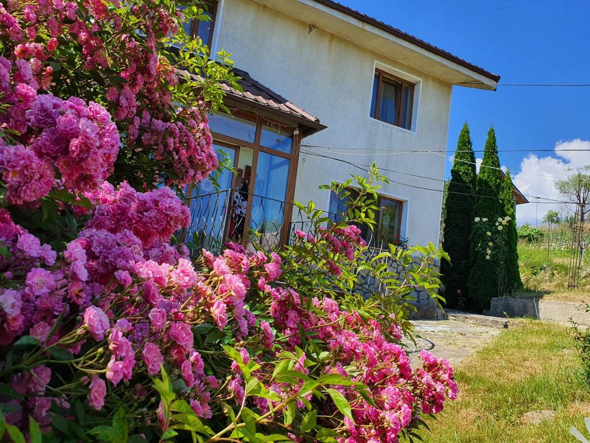 Casa Carpati Daire Zărneşti Dış mekan fotoğraf